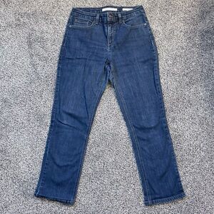 Jones New York Lexington Blue Straight Leg Jeans - 10 PETITE